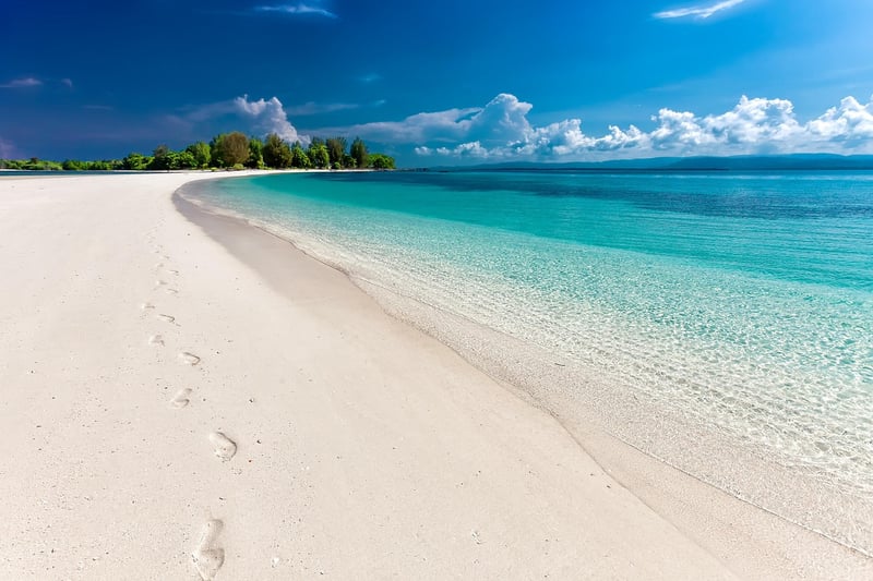 Summer Beach